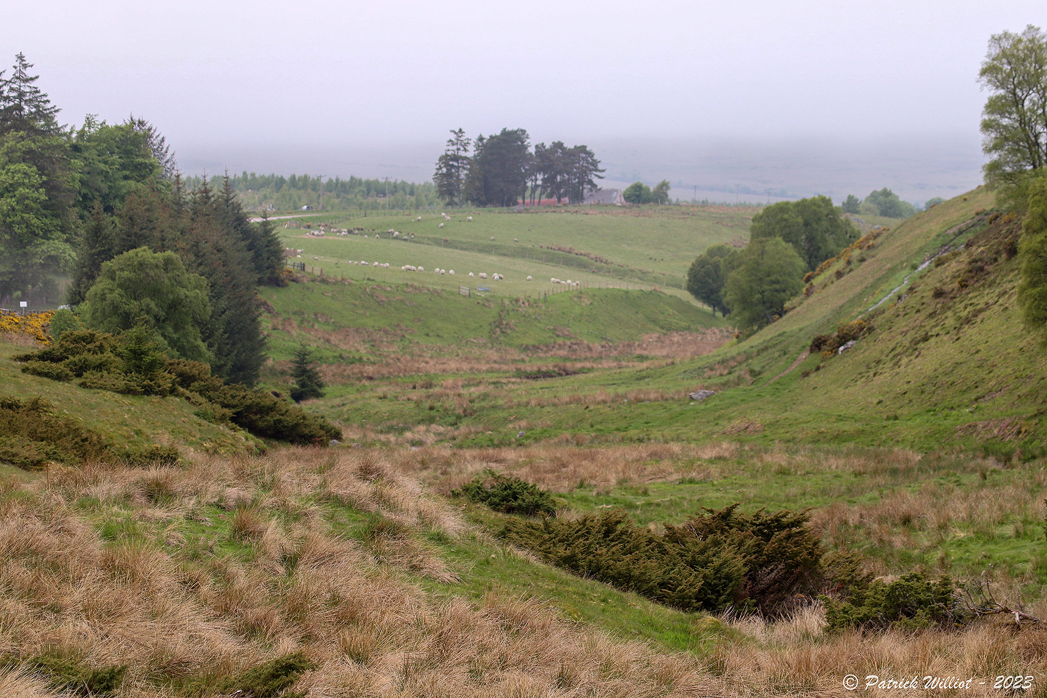 Easter Gaulrig